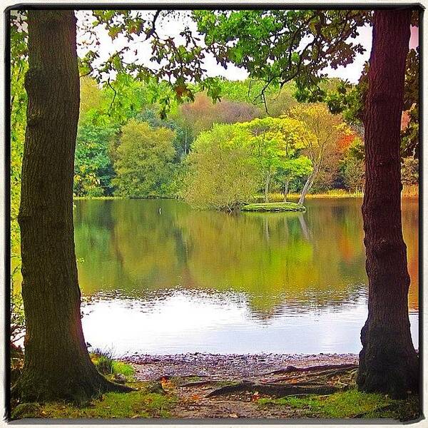 Beautiful Art Print featuring the photograph Lakeside Scenery #suttonpark #view by Polly Rhodes