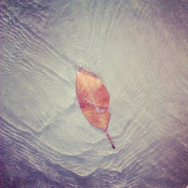 Background Art Print featuring the photograph Leaf by Nawarat Namphon