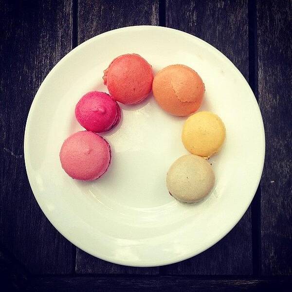 Macaroons Art Print featuring the photograph Macaroons by Nic Squirrell