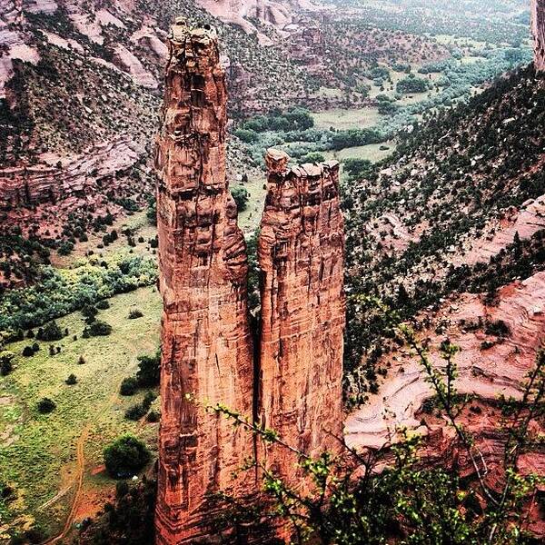 Colorado Art Print featuring the photograph Mesa Verde by Luisa Azzolini