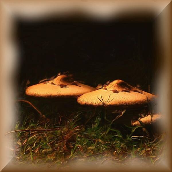 Landscape Art Print featuring the digital art Mushrooms by Karen Harrison Brown