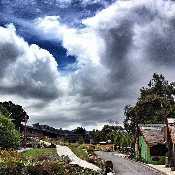 Gf_nz Art Print featuring the photograph Nice Clouds At The Zoo #iphonesia by Stewart Baird