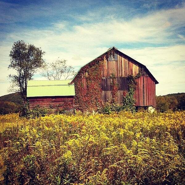 Wildflowers Art Print featuring the photograph Old Barn In The Middle Of Nowhere = A by Christina Bumbier
