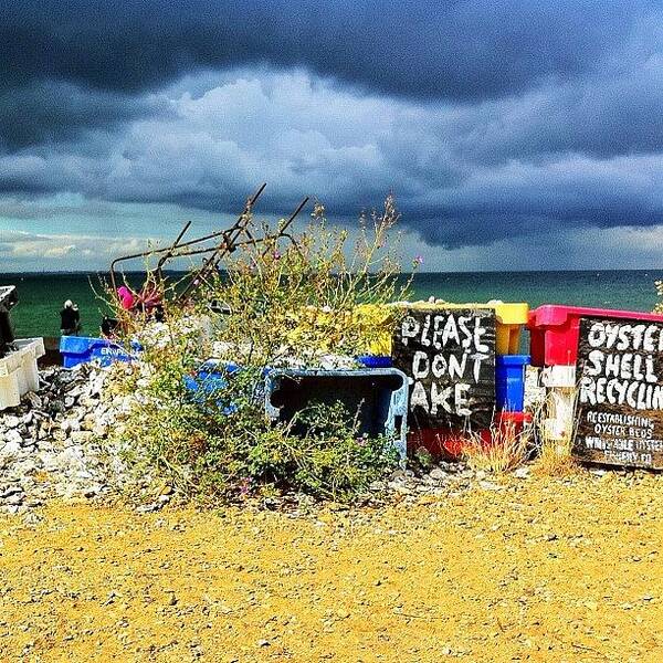 Summer Art Print featuring the photograph #oyster #whitstable #england #seaside by Samuel Gunnell