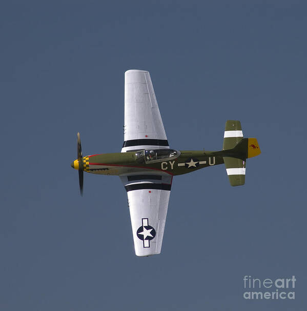 P-51 Art Print featuring the photograph P-51 Gunfighter by Tim Mulina