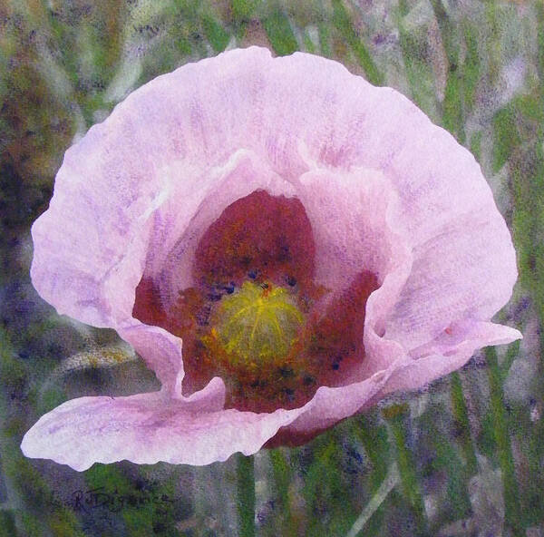 Poppy Art Print featuring the painting Pale Pink Poppy by Richard James Digance