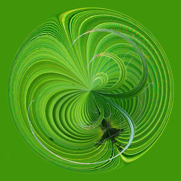 Palm Frond Art Print featuring the photograph Palm Frond Orb by Bill Barber