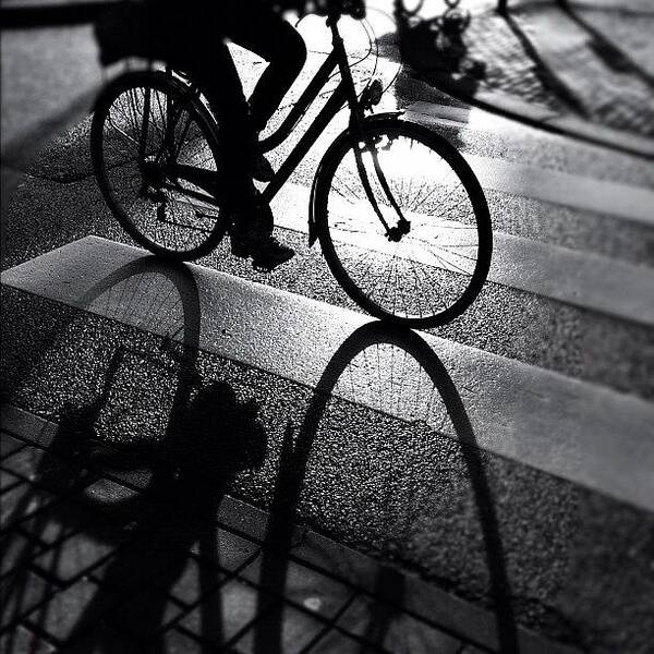 Igersams Art Print featuring the photograph Ride The Lin. #shadow #bike #cycling by Robbert Ter Weijden