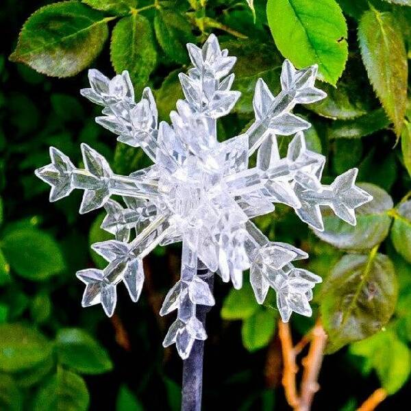 Beautiful Art Print featuring the photograph Summer Time Snow Flake. #snow #flake by Becca Watters
