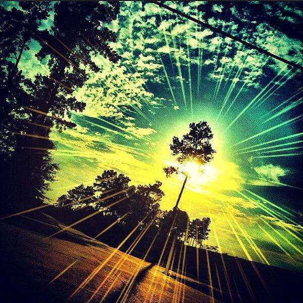 Beautiful Art Print featuring the photograph #sun #sunset #trees #driving #instacool by Kirsten Taubin