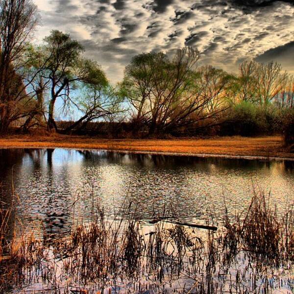 Lake Art Print featuring the photograph Sunset over the lake by Luisa Azzolini