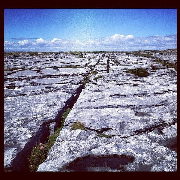 Limestone Art Print featuring the photograph The Burren by Maeve O Connell