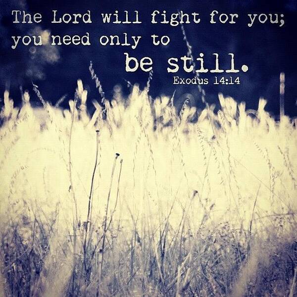 Godisgood Art Print featuring the photograph the Lord Will Fight For You; You Need by Traci Beeson