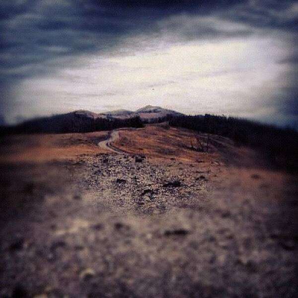 Notfun Art Print featuring the photograph The Trail To The Top Of Mt. Washburn by Yvette Harbour