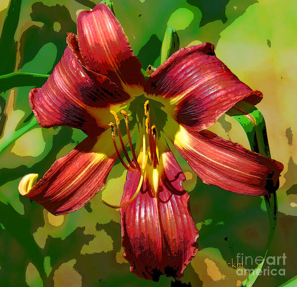 Flower Art Print featuring the photograph Tiger Lily by Cindy Manero