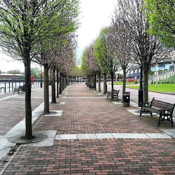 Salford Art Print featuring the photograph #trees #walking #salfordquayes #salford by Abdelrahman Alawwad
