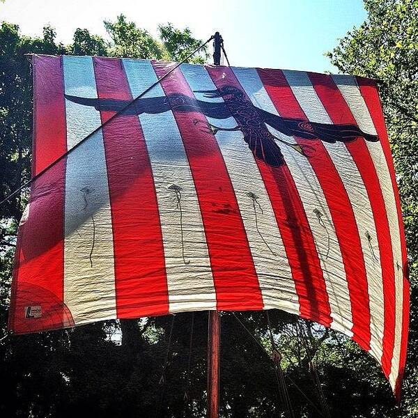 Mobilephotography Art Print featuring the photograph Viking Flag @ Syttende Mai by Natasha Marco
