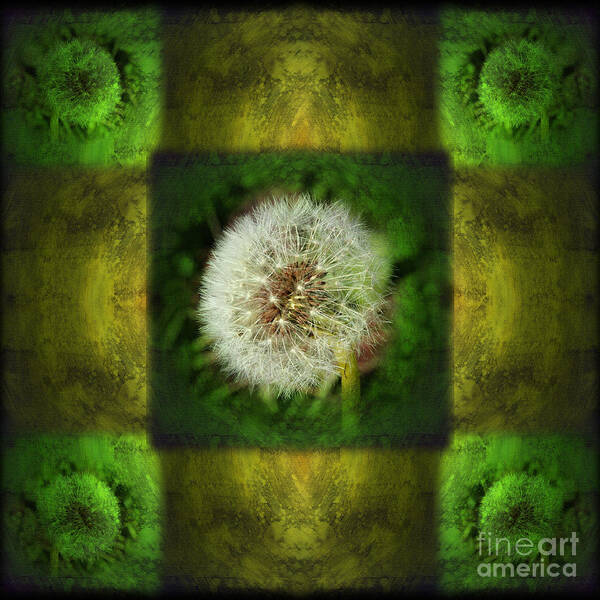 Green Art Print featuring the photograph Waiting for a Wish by Laura Iverson