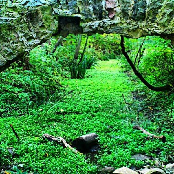 Tagstagram Art Print featuring the photograph Weathered Archway by Mr. B