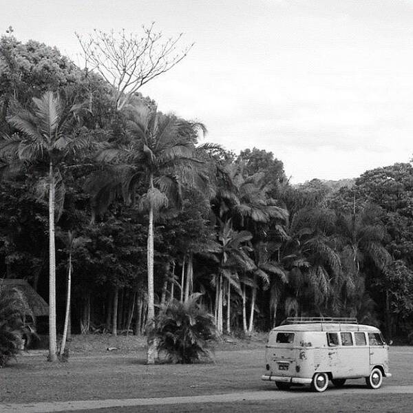 Kombi Art Print featuring the photograph Wedding In The Wilderness #vw #kombi by Glen Bryden