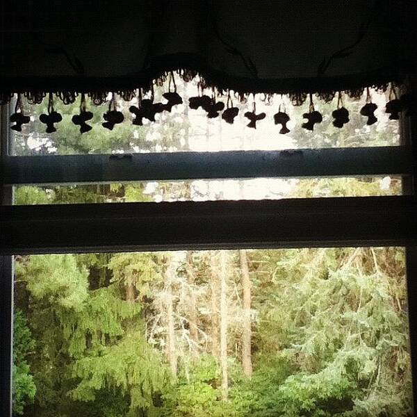 Curtain Art Print featuring the photograph #window #trees #curtain by Tyler McGath