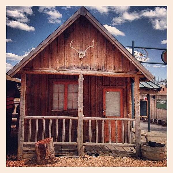 Wood Art Print featuring the photograph Wood cabins by Isabel Poulin