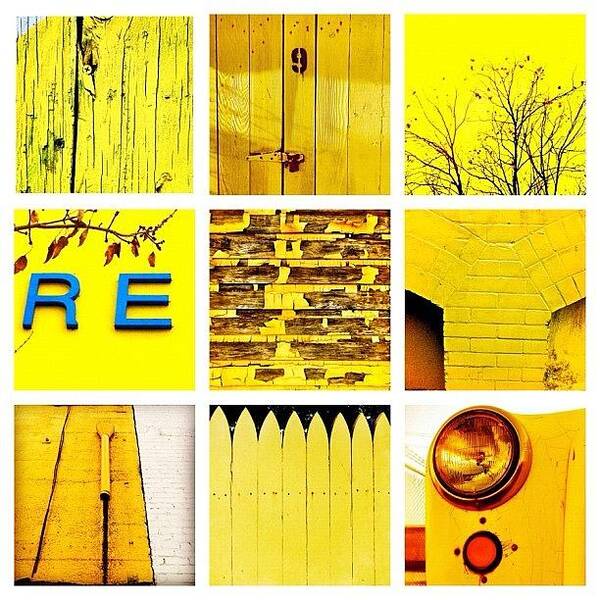 Igerssf Art Print featuring the photograph Yellow by Julie Gebhardt