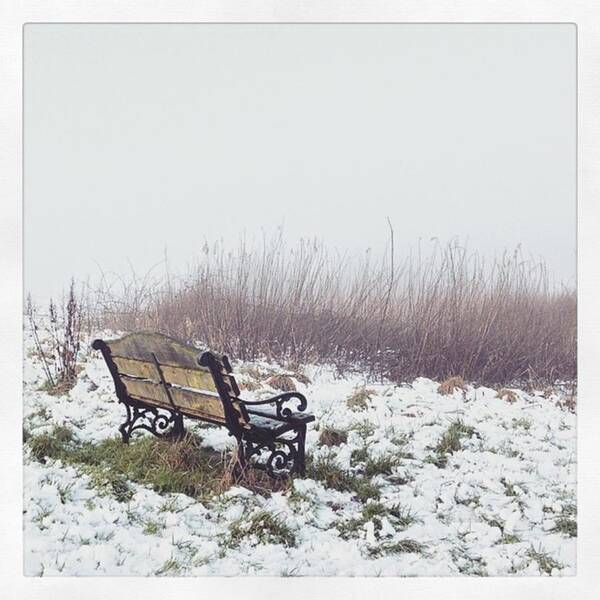 Fog Art Print featuring the photograph ❄️🎄⛄️❄️ I Love This by Jennie Davies