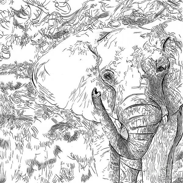  Art Print featuring the drawing 02 of 30 Elephant by Denise Deiloh