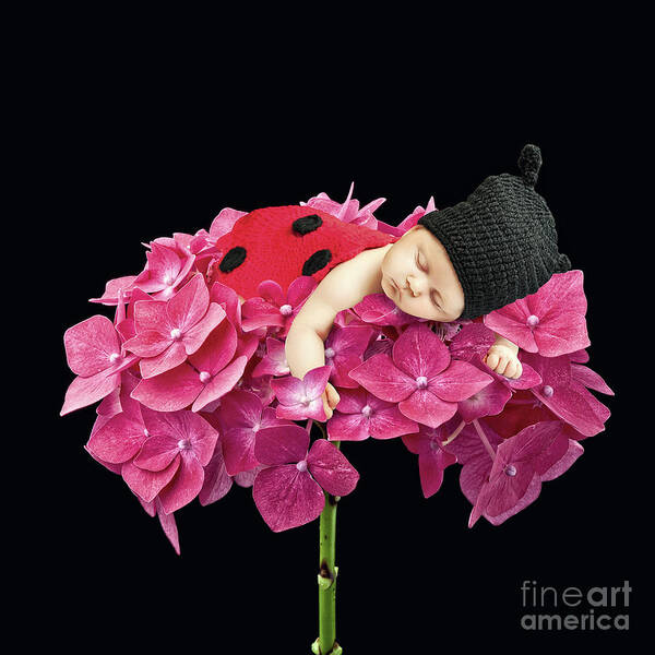 Ladybug Art Print featuring the photograph Sleeping Cute Newborn #1 by Gualtiero Boffi