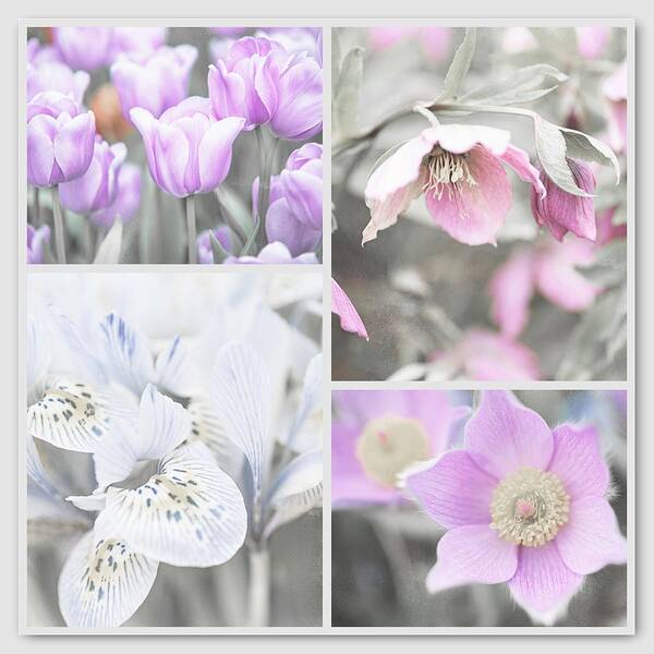 Jenny Rainbow Fine Art Photography Art Print featuring the photograph Spring Flower Collage. Shabby Chic Collection #1 by Jenny Rainbow