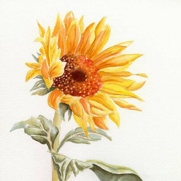 Sunflower Art Print featuring the painting Sunflower by Deborah Ronglien