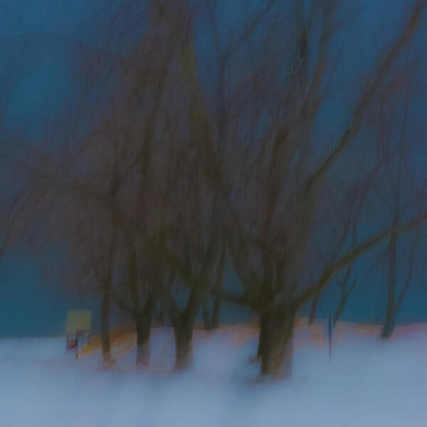 Camera Motion Art Print featuring the photograph Tree Dreams #1 by Stewart Helberg