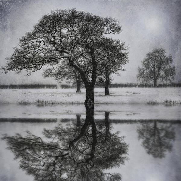 Lake Art Print featuring the photograph Winter Lake #1 by Ian Mitchell