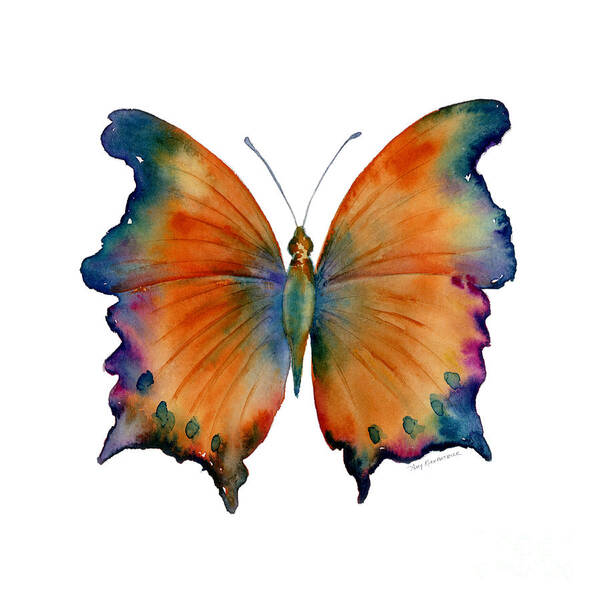 Wizard Butterfly Butterfly Butterflies Butterfly Print Butterfly Card Butterfly Cards Orange Orange And Blue Orange And Purple Orange Butterfly Nature Wings Winged Insect Nature Watercolor Butterflies Watercolor Butterfly Watercolor Moth Orange Butterfly Face Mask Art Print featuring the painting 1 Wizard Butterfly by Amy Kirkpatrick