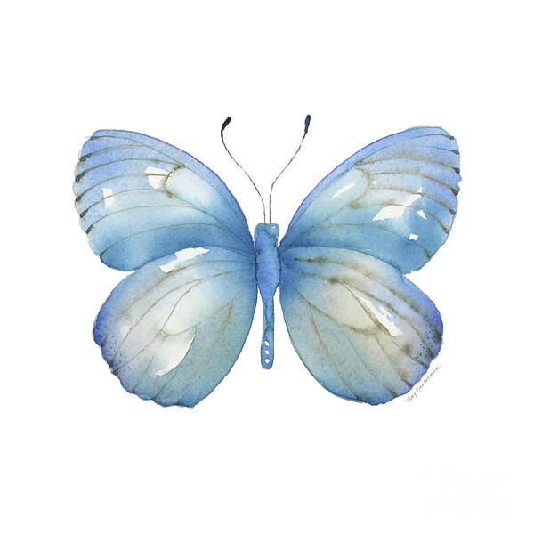 Blue And Brown Butterfly Art Print featuring the painting 112 Blue Marcia Butterfly by Amy Kirkpatrick