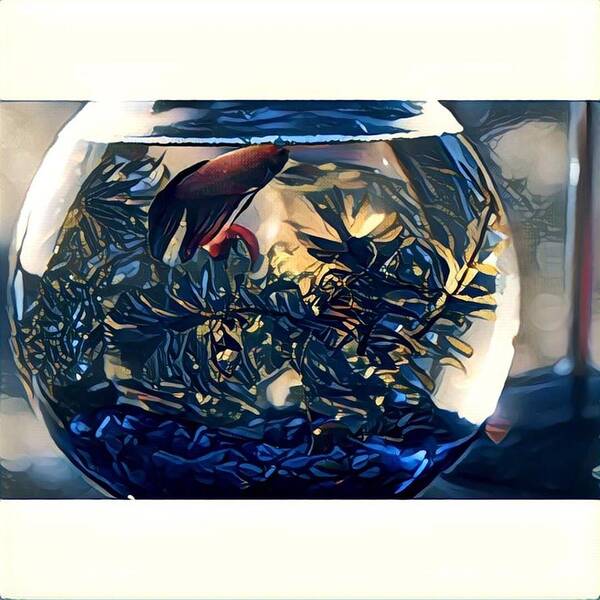  Art Print featuring the digital art Siamese Fighting Fish #9 by M Sullivan Image and Design