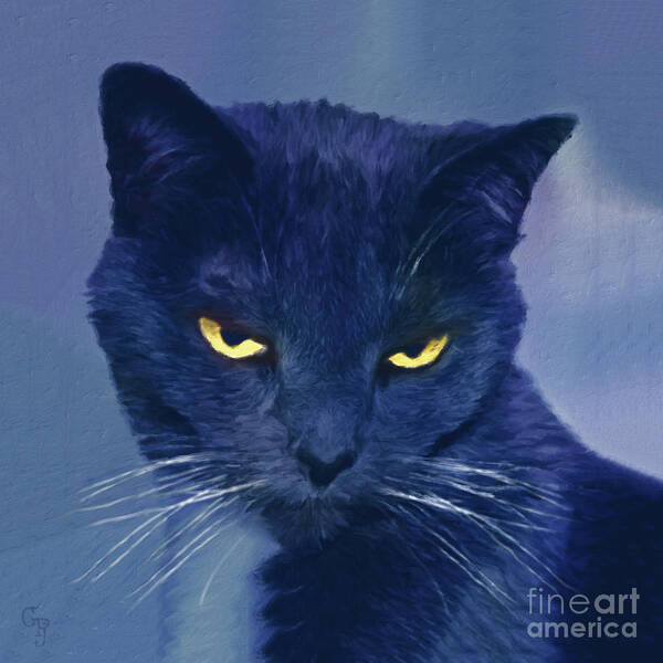 Sinister Art Print featuring the photograph A Cat's Dark Night by Gabriele Pomykaj