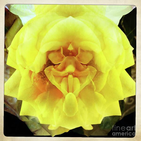 Flower Art Print featuring the photograph A Face in the Flower by Xine Segalas