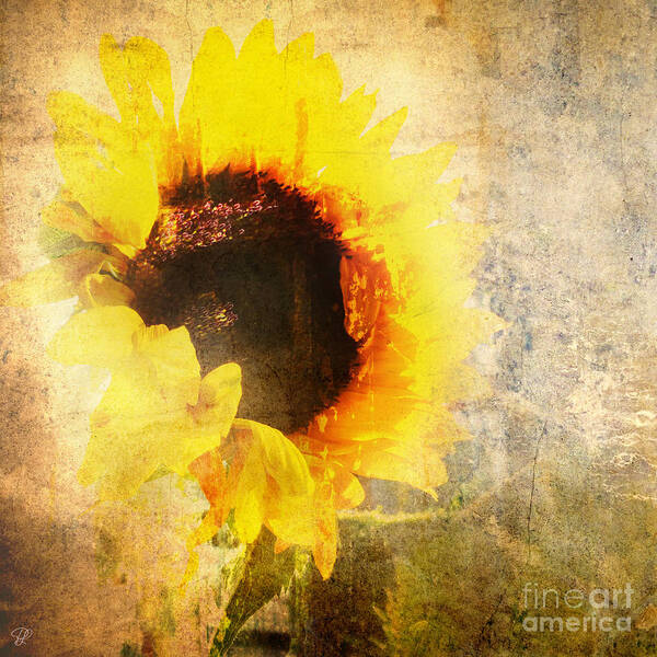 Manipulated Art Print featuring the photograph A Memory of Summer by LemonArt Photography