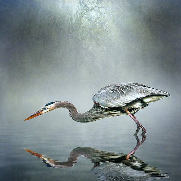 Great Blue Heron Art Print featuring the photograph About to strike by Brian Tarr