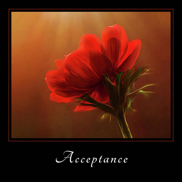 Inspiration Art Print featuring the photograph Acceptance 3 by Mary Jo Allen