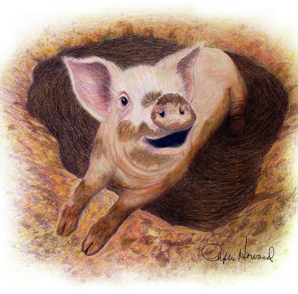Pig Art Print featuring the drawing Adventurous by Phyllis Howard