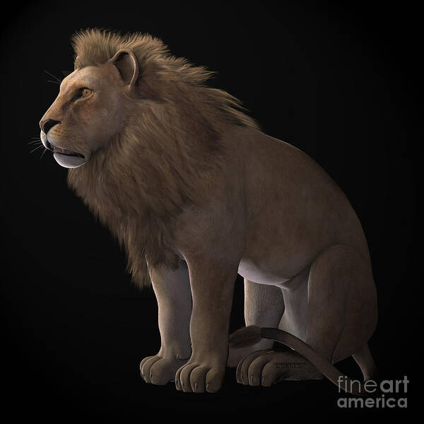 Lion Art Print featuring the painting African Lion on Black by Corey Ford