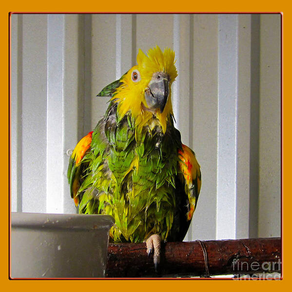 Photograph Art Print featuring the photograph After the Bath by Victoria Harrington