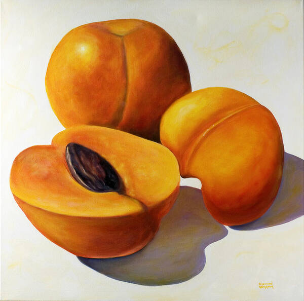 Apricots Art Print featuring the painting Apricots by Shannon Grissom