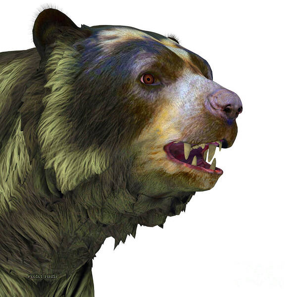Arctodus Art Print featuring the painting Arctodus Bear Head by Corey Ford