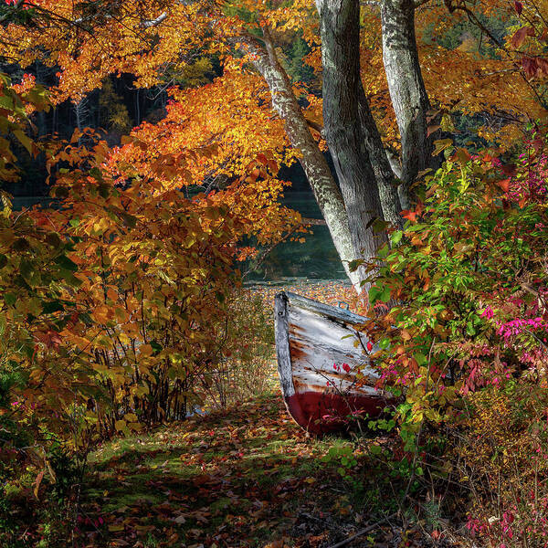 Boat Art Print featuring the photograph Autumn Boat by Bill Wakeley