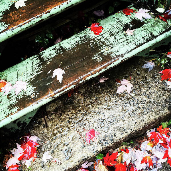 Maple Art Print featuring the photograph Autumn leaves on old staircase by GoodMood Art