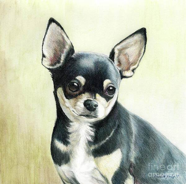 Dog Art Print featuring the painting Bella by Charlotte Yealey
